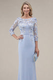 Blush velout, fourreau à col bateau, longue robe de mère de la mariée appliquée avec des fleurs 3D