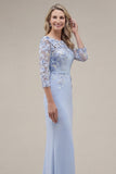 Blush velout, fourreau à col bateau, longue robe de mère de la mariée appliquée avec des fleurs 3D