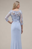 Blush velout, fourreau à col bateau, longue robe de mère de la mariée appliquée avec des fleurs 3D