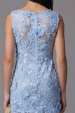 Robe mini florale bodycon collant en tulle bleu avec des appliques en dentelle