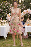 Robe midi fleur brodée en Tulle A-line Blush à col en V