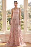 Robe Maxi à paillettes à roues à une épaule à blush
