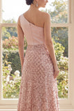 Robe Maxi à paillettes à roues à une épaule à blush