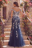 Robe de bal longue de bal en tulle à épaules froides à épaules froides avec des appliques