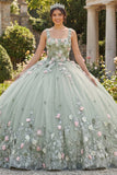 Robe de quinceañera à col carré en sauge poussiéreuse à fleurs appliquées