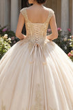 Robe de bal à col en V appliquée au champagne Quinceañera