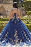 Robe de bal à col rond bleu marine avec applique, robe de bal Quinceañera