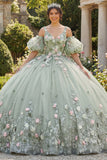 Robe de bal vert sauge 3D Fleurs princesse Quinceañera avec manches bouffantes