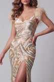 Robe de concours de beauté sirène en champagne avec des plumes