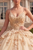 Robe de bal Corset Champagne Quinceañera avec des fleurs 3D