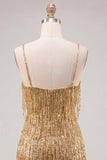 Robe de bal de rentrée à la maison bodycon Bodycon bretelles fines, sequins