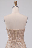 Champagne scintillant, corset body-con sans bretelles bodycon, corset court Homecoming avec ceinture