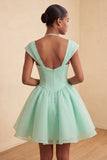 Robe courte de fin d’année vert menthe ligne A simple boutonné avec manches courtes