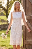 Robe de douche nuptiale midi à col en dentelle en forme d’ivoire