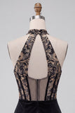 Robe de cocktail mini noire moulante en velours avec corset à col V profond et broderies