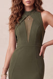 Robe de cérémonie midi en sirène olive, col haut, tulle bas