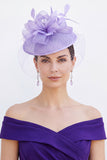 Boucles de crinoline lilas Grillage à oiseaux Fascinator Chappeau fascinateur avec plumes