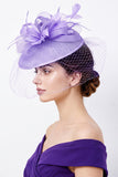 Boucles de crinoline lilas Grillage à oiseaux Fascinator Chappeau fascinateur avec plumes