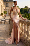 Corset à l’application champagne : longue robe de bal de mermaid avec fente