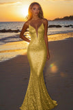 Robe longue formelle sirène dos nu argentée scintillante