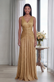 Robe Longue de Cérémonie Plissée Vieux Rose Col V