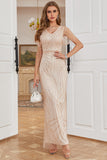 Robe à clapet des années 20 Robe Great Gatsby pour femmes Manches courtes Robe de fête Roaring 20s