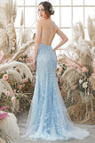 Robe de bal longue sans corail avec appliques