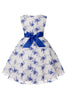 Charger l&#39;image dans la galerie, Broderie Bleue Dentelle Robe pour filles avec nœud papillon