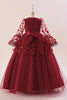 Charger l&#39;image dans la galerie, Robe de soirée fille en tulle rose avec appliques