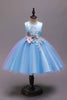 Charger l&#39;image dans la galerie, Une ligne de robes de filles nœud papillon bleu avec appliques