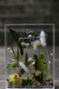 Charger l&#39;image dans la galerie, Cadre photo de fleur immortelle en acrylique