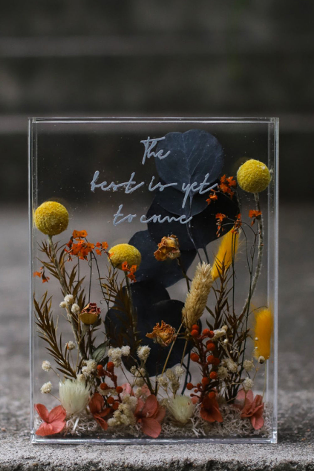 Cadre photo de fleur immortelle en acrylique