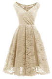 Blush Vintage Dentelle Robe de Fête