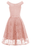 Blush Vintage Dentelle Robe de Fête