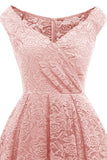 Blush Vintage Dentelle Robe de Fête