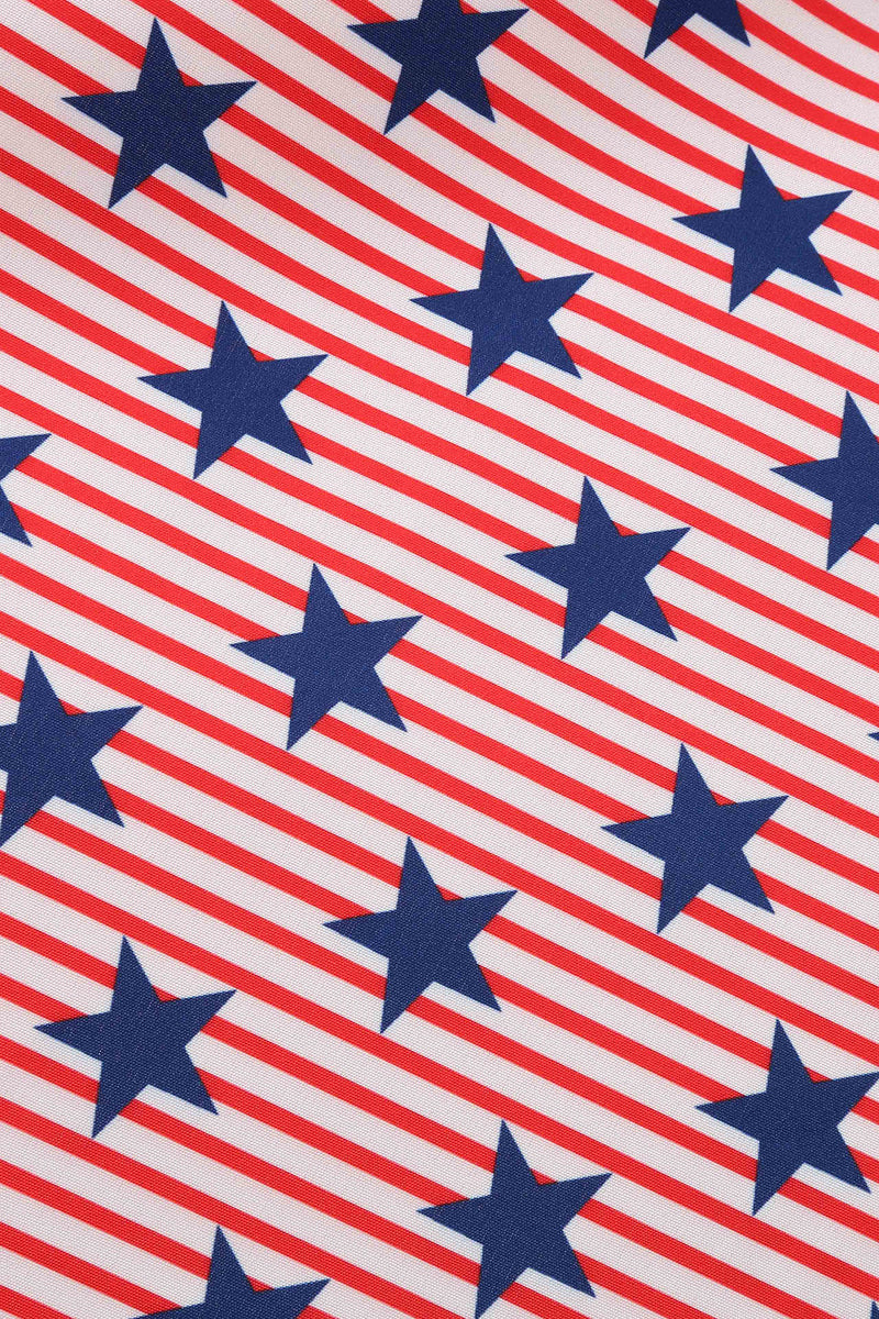 Charger l&#39;image dans la galerie, American Flag Stars Print Robe Vintage