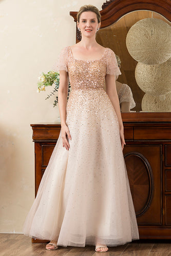 Blush Perling A Line Sparkly Evening Wear