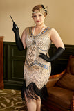 Paillettes abricot 1920s Plus Taille Robe avec 20s Acessories Set