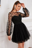 Manches longues Tulle Petite Robe Noire