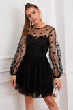 Manches longues Tulle Petite Robe Noire