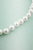Charger l&#39;image dans la galerie, Shell Pearl Necklace - ZAPAKA